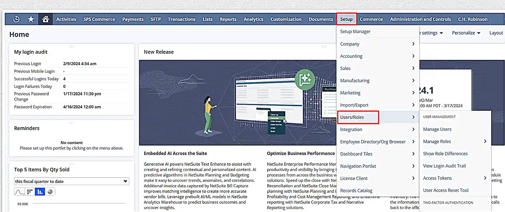 netsuite suitesuccess implementation Roles