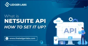 What’s NetSuite API and How to Set It Up?