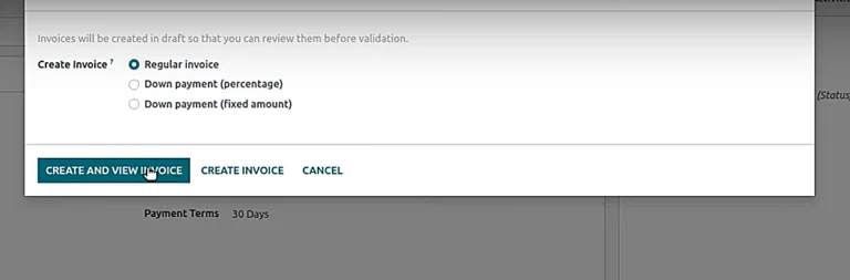 Choose “Regular Invoice” and press the “Create and View Invoice” button.