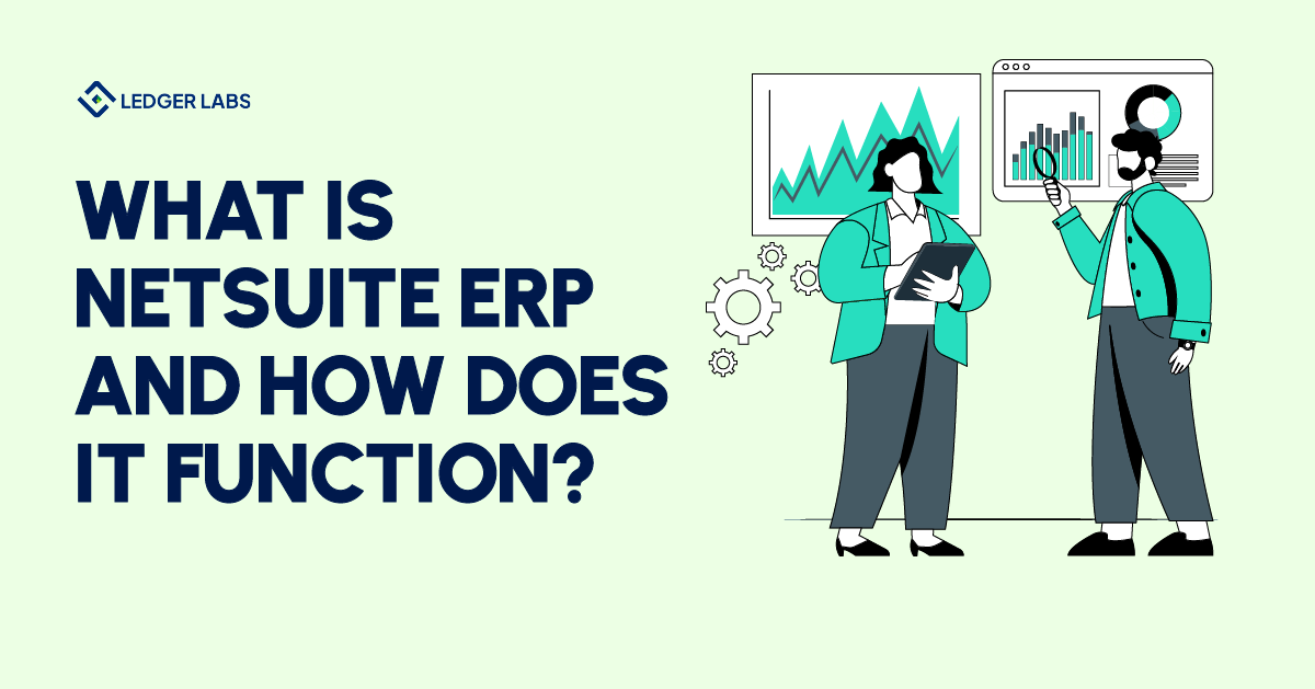 What is NetSuite ERP