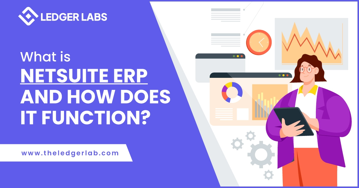 What is NetSuite ERP