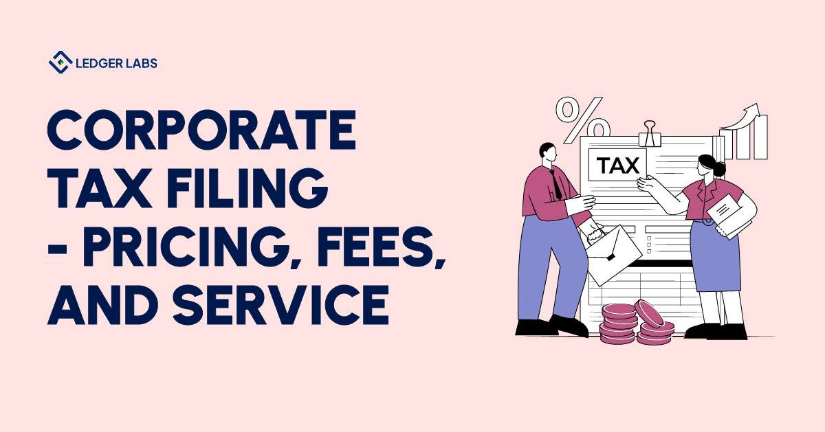 Cheap corporate tax filing