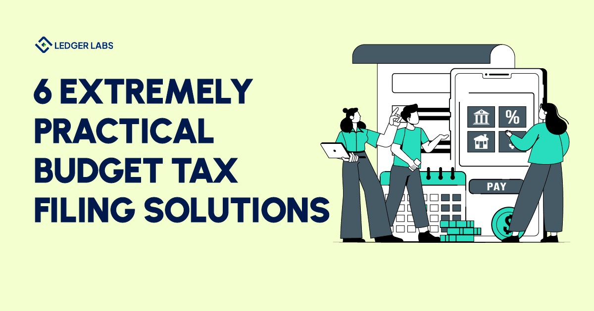 Budget tax filing solutions