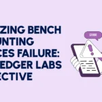 Analyzing Bench Accounting Services Failure : With Ledger Labs Perspective