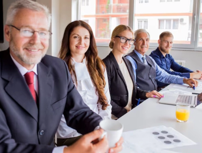 Acumatica Consultant